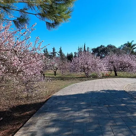 Holiday home Casa Ankie Alhaurin el Grande
